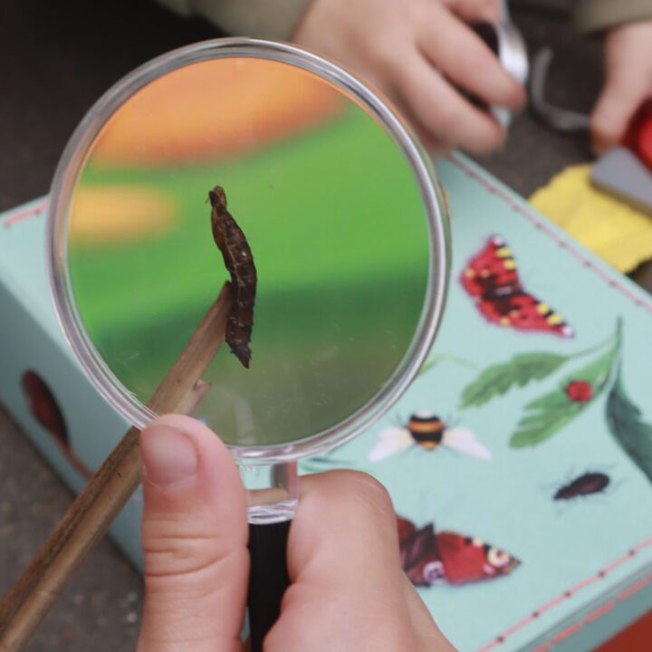 Creepy crawly cases for children - let's go on adventures!